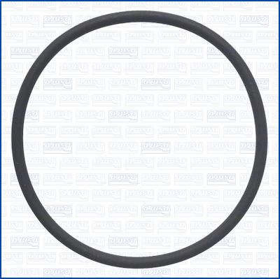 Wilmink Group WG2081481 - Inel de etansare aaoparts.ro