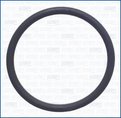 Wilmink Group WG2081429 - Inel de etansare aaoparts.ro
