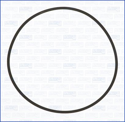 Wilmink Group WG2081097 - Inel de etansare aaoparts.ro