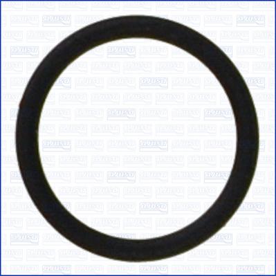 Wilmink Group WG2081047 - Inel de etansare aaoparts.ro