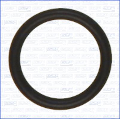 Wilmink Group WG2081066 - Inel de etansare aaoparts.ro