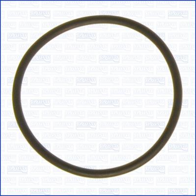 Wilmink Group WG2081008 - Inel de etansare aaoparts.ro