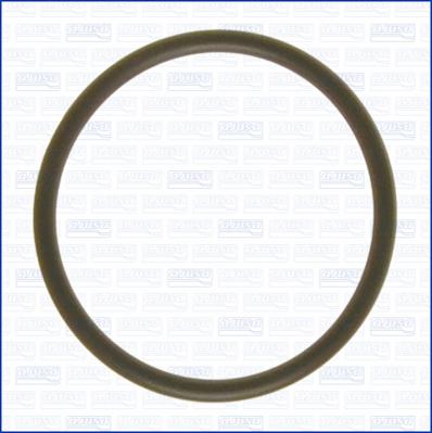 Wilmink Group WG2081002 - Inel de etansare aaoparts.ro