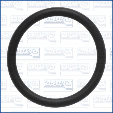 Wilmink Group WG2081197 - Inel de etansare aaoparts.ro