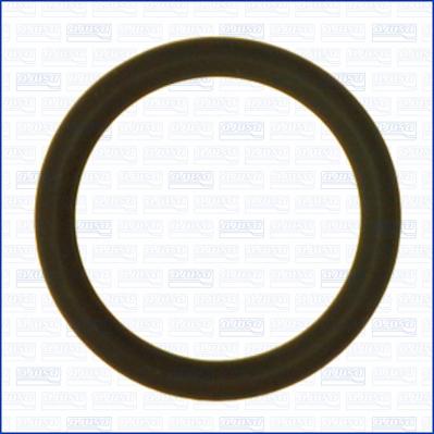 Wilmink Group WG2081159 - Inel de etansare aaoparts.ro