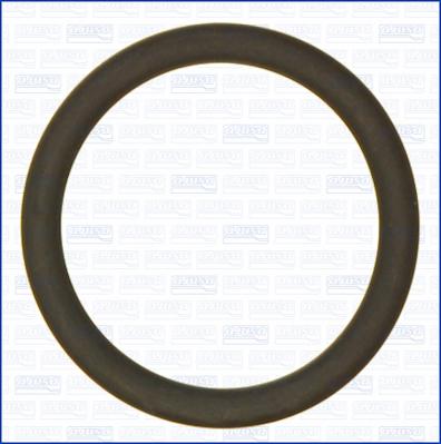 Wilmink Group WG2081181 - Inel de etansare aaoparts.ro
