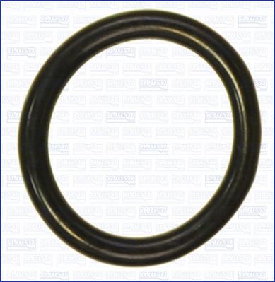 Wilmink Group WG2081120 - Garnitura termostat aaoparts.ro