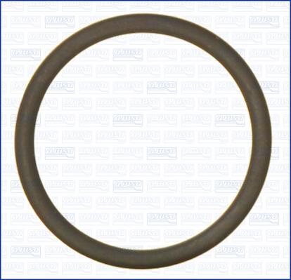 Wilmink Group WG2081178 - Inel de etansare aaoparts.ro