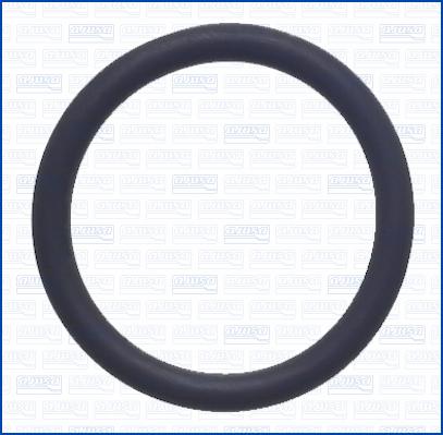 Wilmink Group WG2081361 - Inel de etansare aaoparts.ro
