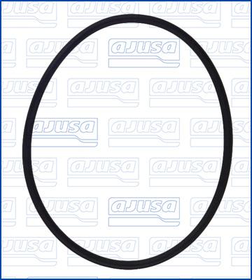 Wilmink Group WG2081307 - Inel de etansare aaoparts.ro