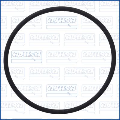 Wilmink Group WG2081313 - Inel de etansare aaoparts.ro