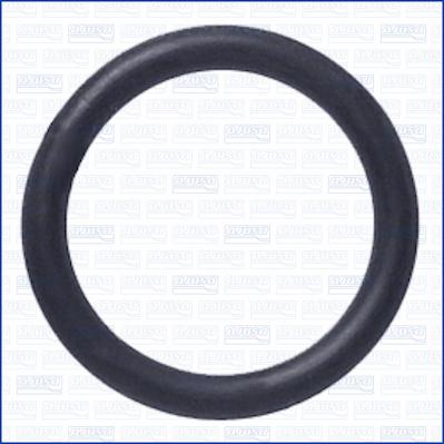 Wilmink Group WG2081380 - Inel de etansare aaoparts.ro