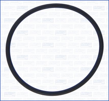 Wilmink Group WG2081283 - Inel de etansare aaoparts.ro