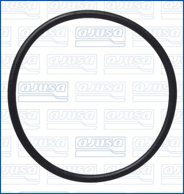 Wilmink Group WG2081751 - Inel de etansare aaoparts.ro