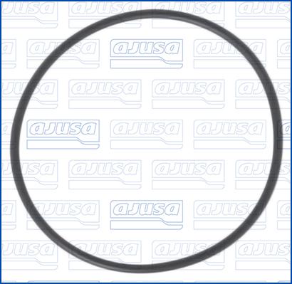 Wilmink Group WG2081753 - Garnitura, pompa vacuum aaoparts.ro