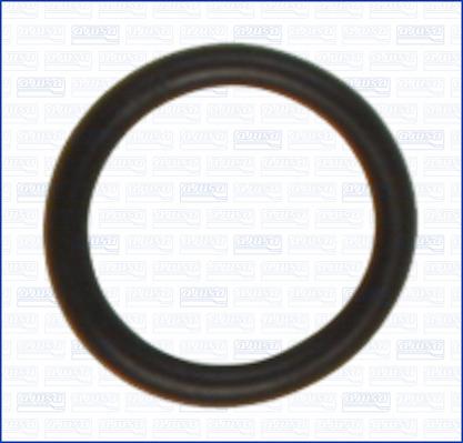 Wilmink Group WG2081724 - Inel de etansare aaoparts.ro