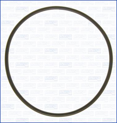 Wilmink Group WG2081720 - Inel de etansare aaoparts.ro