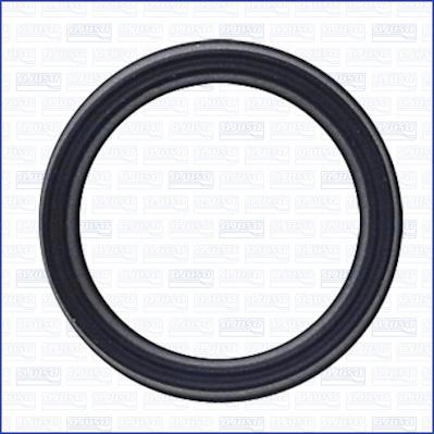 Wilmink Group WG2078416 - Garnituri, carcasa filtru ulei aaoparts.ro