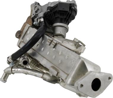 Wilmink Group WG2196330 - Modul-EGR aaoparts.ro