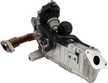 Wilmink Group WG2196329 - Modul-EGR aaoparts.ro
