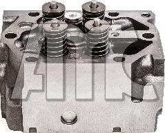 Wilmink Group WG2191684 - Chiulasa aaoparts.ro