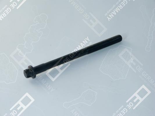 Wilmink Group WG2102520 - Surub chiulasa aaoparts.ro