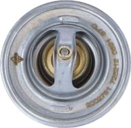 Wilmink Group WG2184811 - Termostat,lichid racire aaoparts.ro