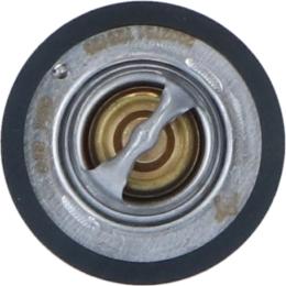 Wilmink Group WG2184745 - Termostat,lichid racire aaoparts.ro