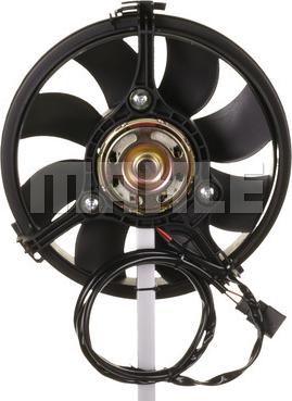Wilmink Group WG2180556 - Ventilator, radiator aaoparts.ro