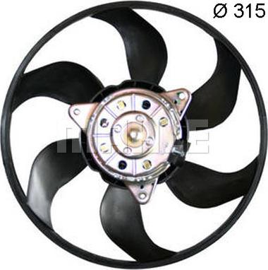 Wilmink Group WG2180743 - Ventilator, radiator aaoparts.ro