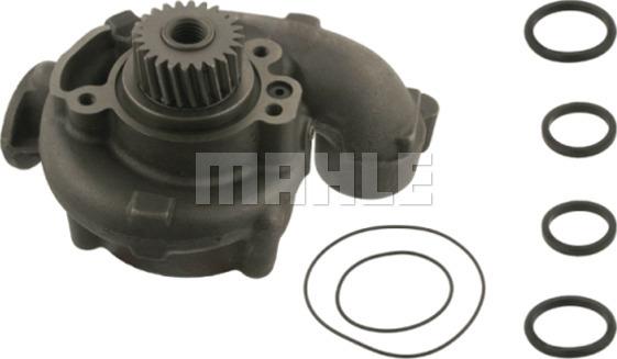 Wilmink Group WG2181915 - Pompa apa aaoparts.ro