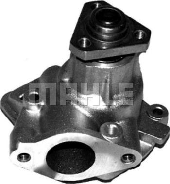 Wilmink Group WG2181619 - Pompa apa aaoparts.ro