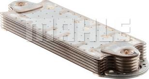 Wilmink Group WG2181164 - Radiator ulei, ulei motor aaoparts.ro