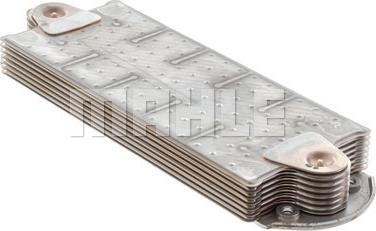 Wilmink Group WG2181165 - Radiator ulei, ulei motor aaoparts.ro