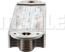 Wilmink Group WG2181163 - Radiator ulei, ulei motor aaoparts.ro