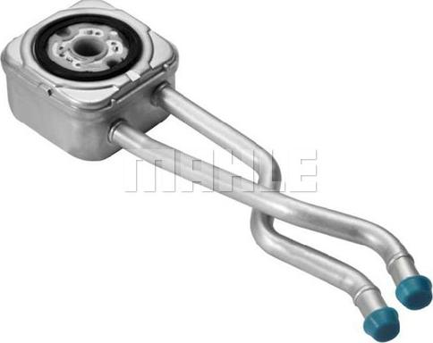 Wilmink Group WG2181135 - Radiator ulei, ulei motor aaoparts.ro