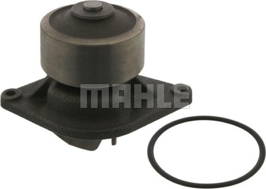 Wilmink Group WG2181876 - Pompa apa aaoparts.ro