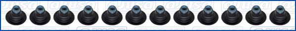 Wilmink Group WG2188187 - Set garnituri, ax supape aaoparts.ro