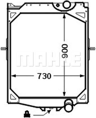 Wilmink Group WG2183969 - Radiator, racire motor aaoparts.ro