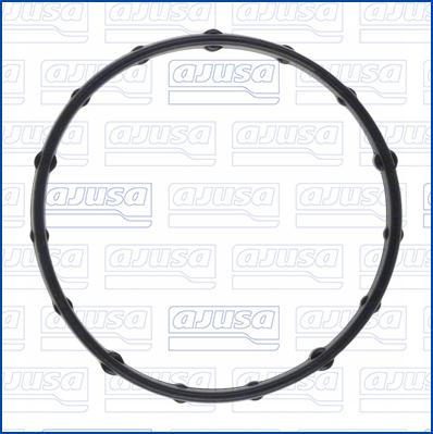 Wilmink Group WG2187278 - Garnitura termostat aaoparts.ro