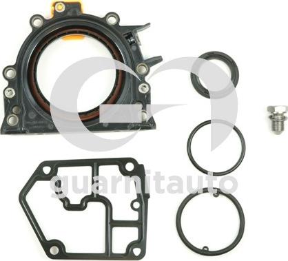 Wilmink Group WG2133287 - Set garnituri, carter aaoparts.ro