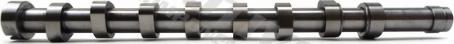 Wilmink Group WG2128175 - Ax cu came aaoparts.ro