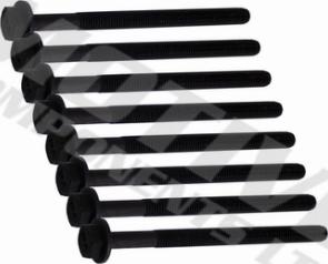 Wilmink Group WG2123150 - Set surub, chiulasa aaoparts.ro