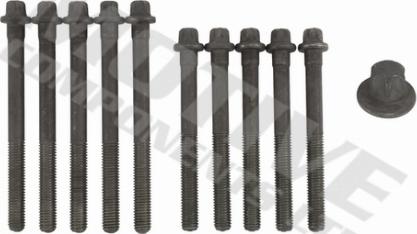 Wilmink Group WG2123120 - Set surub, chiulasa aaoparts.ro
