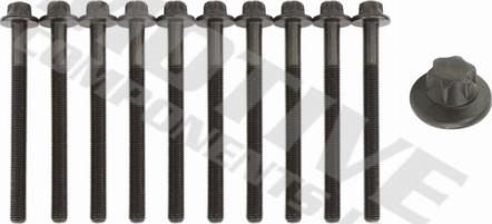 Wilmink Group WG2123121 - Set surub, chiulasa aaoparts.ro