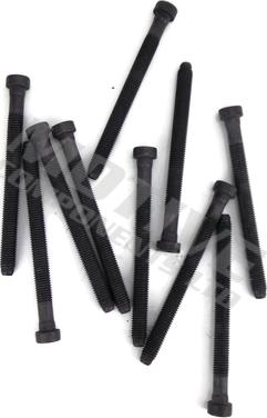 Wilmink Group WG2123253 - Set surub, chiulasa aaoparts.ro
