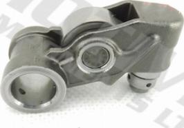 Wilmink Group WG2127263 - Culbutor, tren supape aaoparts.ro