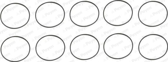 Wilmink Group WG2179571 - Set garnituri, bucsa cilindru aaoparts.ro