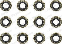 Wilmink Group WG2171416 - Set garnituri, ax supape aaoparts.ro