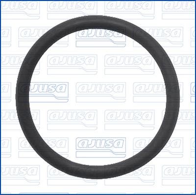 Wilmink Group WG2171899 - Inel de etansare aaoparts.ro